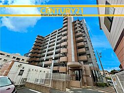 ペルル日明
