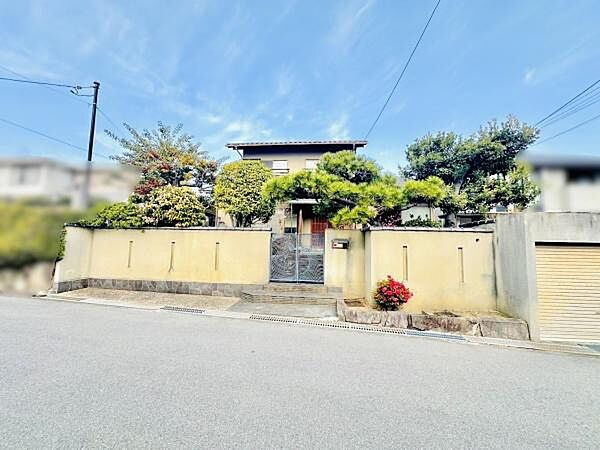 外観：327002169352