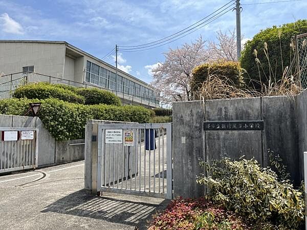 堺市立新檜尾台小学校まで550m