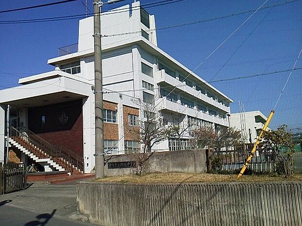 鎌倉市立腰越中学校まで342m