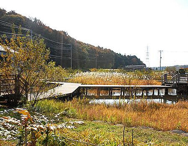 引地川親水公園まで671m