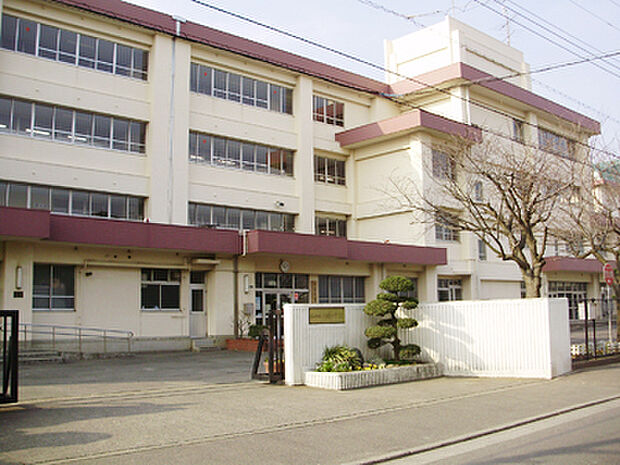 茅ヶ崎市立円蔵中学校まで1295m