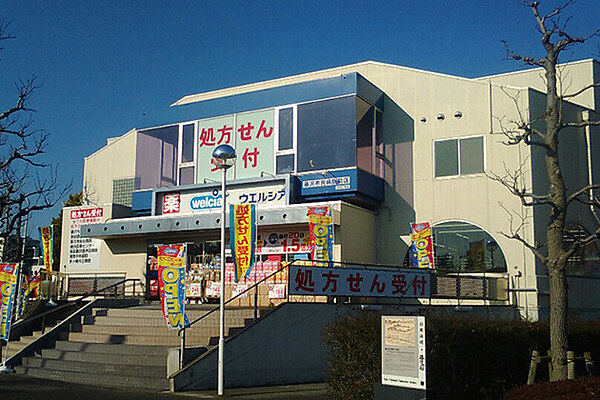 ウエルシア　藤沢市民病院前店まで810m