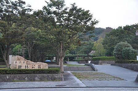 新林公園まで919m