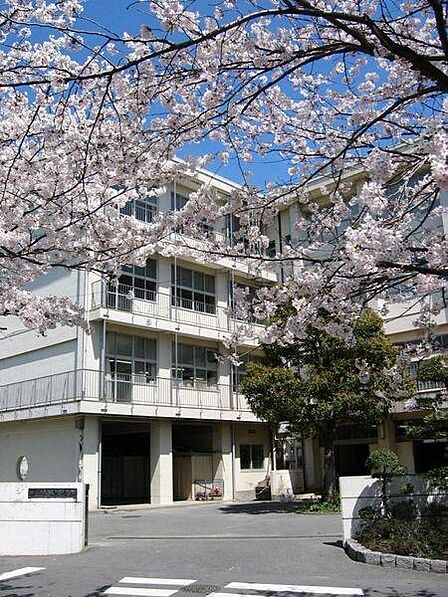 鎌倉市立玉縄中学校まで461m