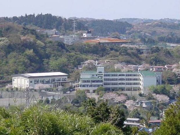 鎌倉市立岩瀬中学校まで2356m