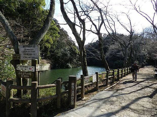 散在が池森林公園まで292m