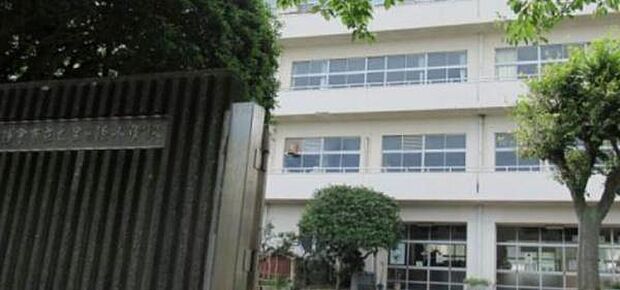 鎌倉市立七里ガ浜小学校まで979m
