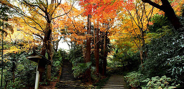 瑞泉寺2まで1764m