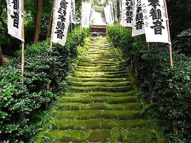 杉本寺まで906m