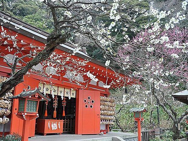 荏柄天神まで1683m