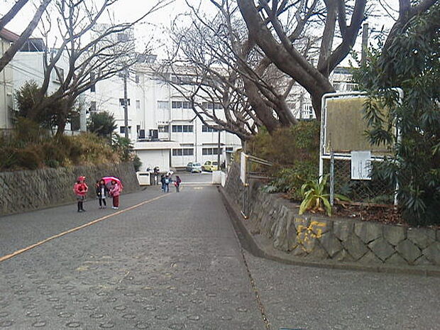 藤沢市立大越小学校まで106m