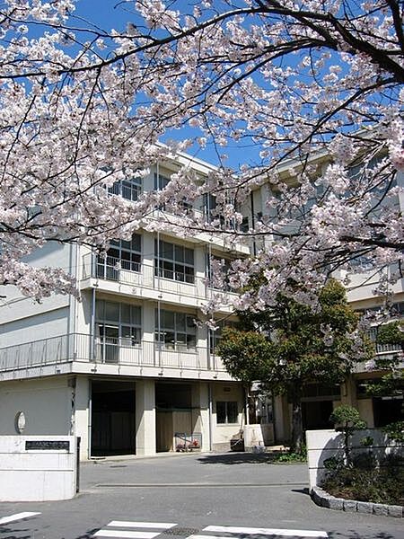 鎌倉市立玉縄中学校まで1247m