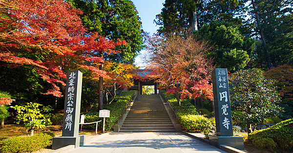 円覚寺まで1290m