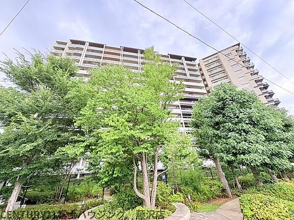 お気軽に藤沢店0120-158-380までお問合せ下さいませ