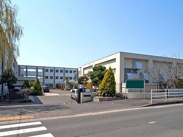 柳島小学校まで800m