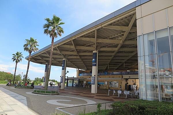 新江ノ島水族館まで3100m