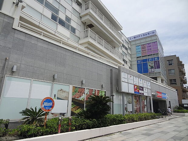 サンドラッグ江ノ島店まで1342m