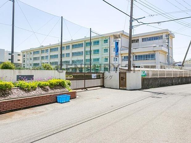 今宿小学校まで630m