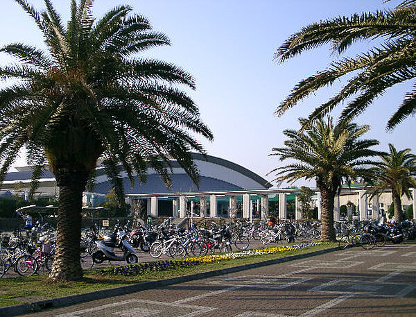 鵠沼運動公園まで1275m