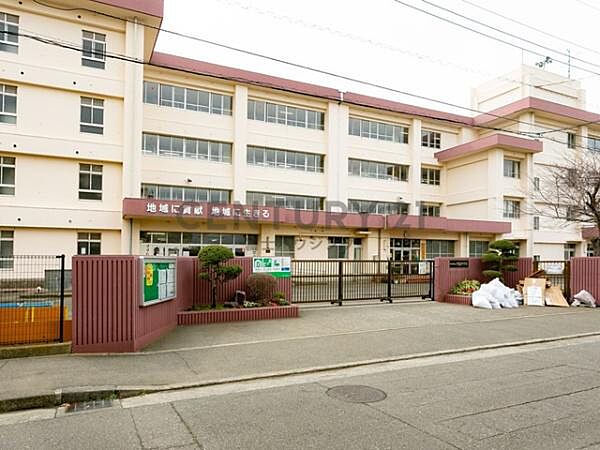 円蔵中学校まで617m