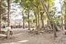 周辺：松が丘緑地まで1005m