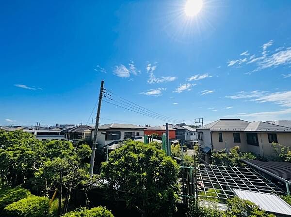 抜けるような青空と眩しい太陽、手前の鮮やかな緑が織りなす美しいコントラストが最大の魅力です。閑静な住宅街の何気ない日常風景でありながら、見る人に晴れやかな解放感と爽快感を与えてくれる点がおすすめです。