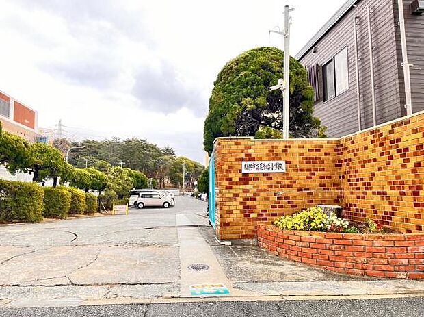 福岡市立美和台小学校まで550m