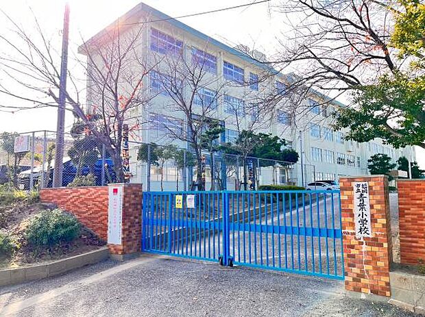 福岡市立青葉小学校まで1238m