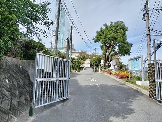 福岡市立花畑中学校まで1500m