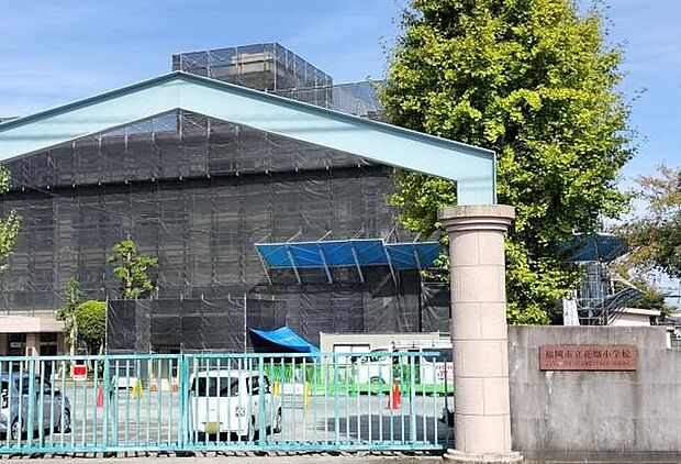 福岡市立花畑小学校まで1068m