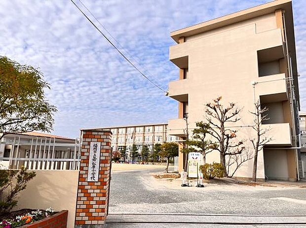 福岡市立舞松原小学校まで231m