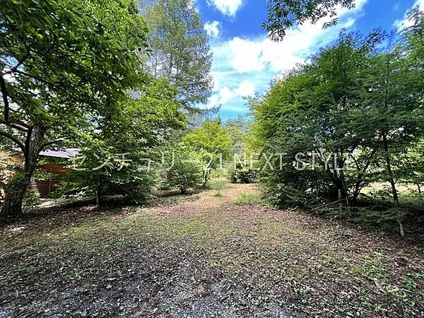 外観：319000012530