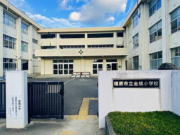 橿原市立金橋小学校まで793m