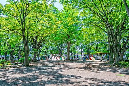 鹿沼公園まで550m