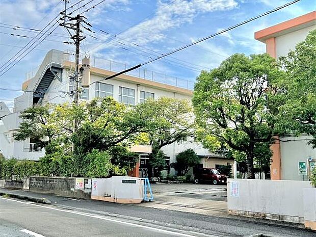 宮崎市立潮見小学校まで702m