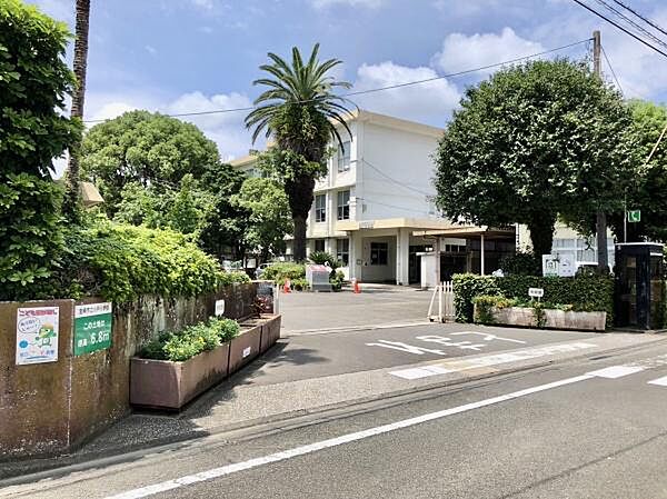 宮崎市立小戸小学校まで717m