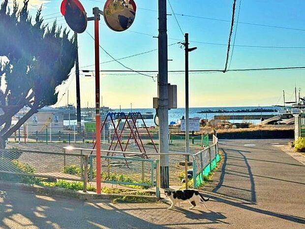 家のそばに、我が子の“お気に入り”がある暮らし。