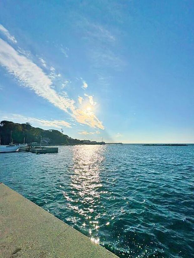 現地ご案内はいつでも受け付けております！