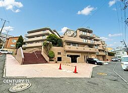 ロイヤルプラザ三ツ沢ペット飼育可