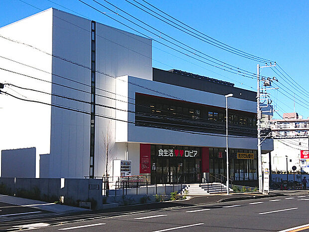 ロピア権太坂店まで431m、国道1号沿い、児童遊園地の向かいにあるスーパー。ドラッグストアも併設されてお買物に便利です。19時までの営業です。