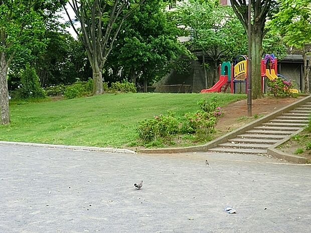 権太坂三丁目公園まで251m