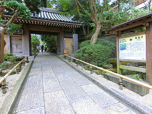 報国寺まで1171m、見事な竹林で知られる古刹。竹林を眺めながらお抹茶をいただくことも可能です。