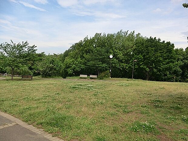 上星川あおぞら公園まで795m