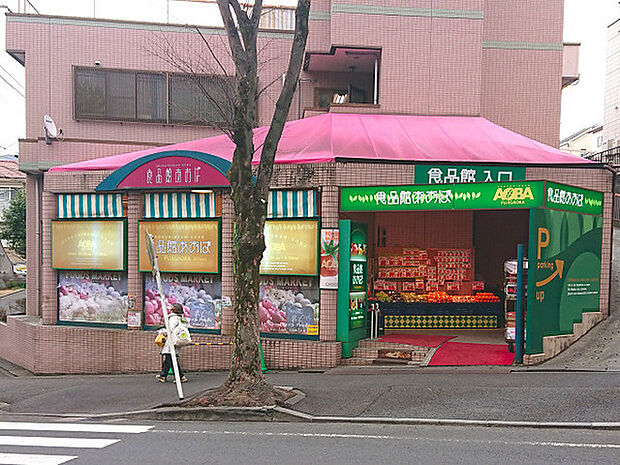 食品館あおば藤が丘店まで723m、藤が丘駅北側、もえぎ野公園の近くにあるスーパーです。