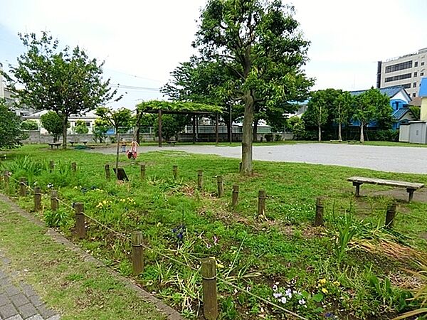 神台北公園まで542m