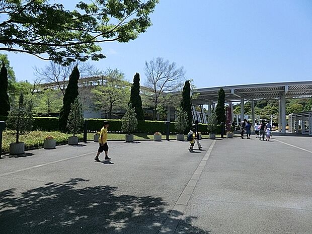 横浜動物の森公園まで1902m、動物園「ズーラシア」と隣接する植物園などを総称して「横浜動物の森公園」といいます。