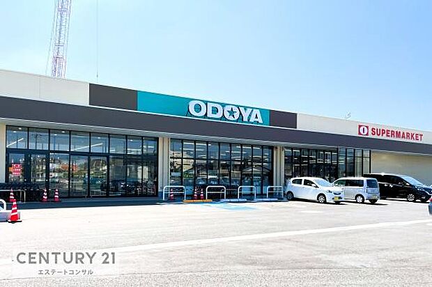 ODOYA江川店まで1765m
