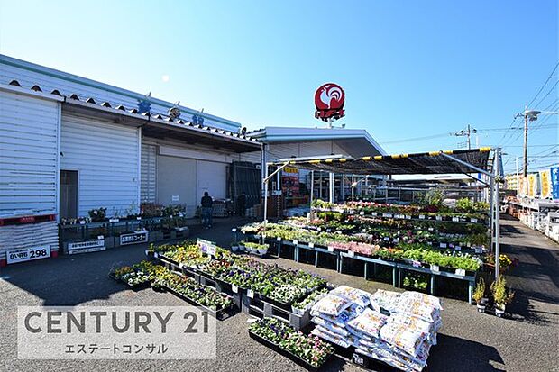 コメリハード&グリーン木更津請西店まで1784m