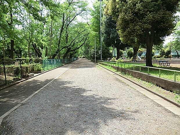 富士森公園まで1000m